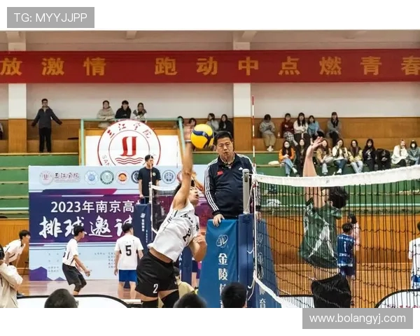 成都排球队在洲际杯中的团队协作表现分析与点评